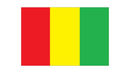 Drapeau Guinée - Maison des Drapeaux